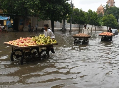 monsoon spells add to soaring food inflation insecurity in pakistan