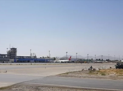 qatar airways flight carries over 230 people evacuated from afghanistan