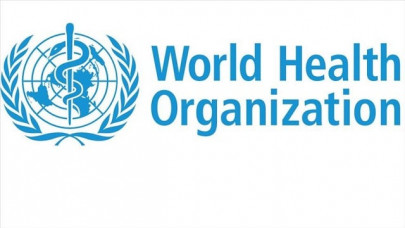 who team heads china to probe origin of covid 19