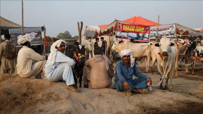 sacrificial animals online buying picks up in pakistan amid pandemic