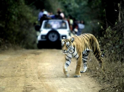 camera traps drones intended for wildlife monitoring exploited to harass women in india camera traps drones intended for wildlife monitoring exploited to harass women in india