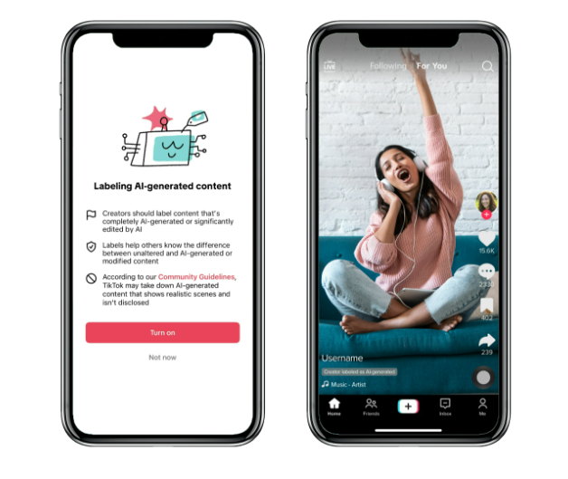 TikTok confirms small test of an ad-free subscription tier outside