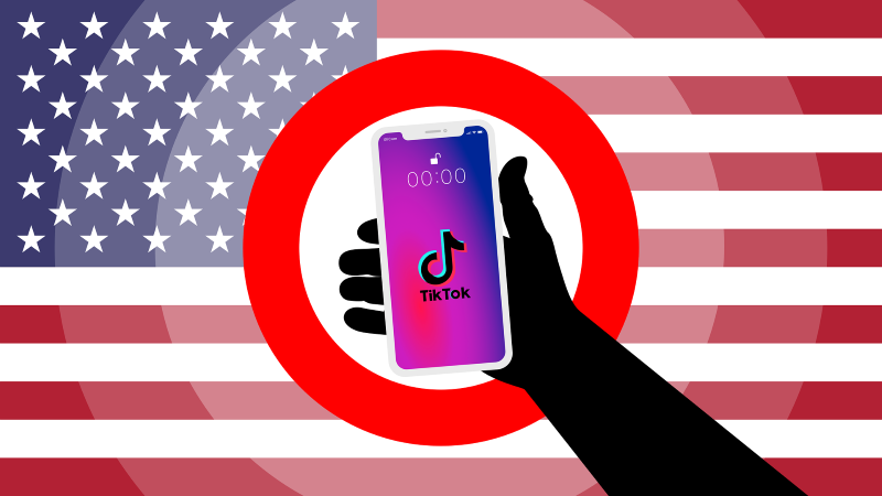 according to experts tiktok will ultimately lead to the removal of the app in the region photo pixabay