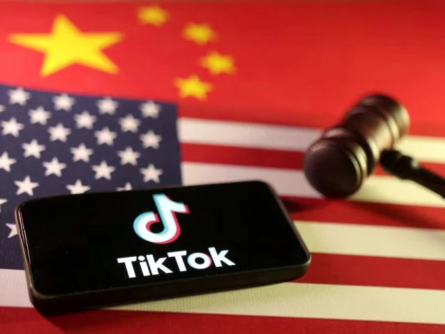 tiktok warns of broader impact if sc allows ban tiktok warns of broader impact if sc allows ban