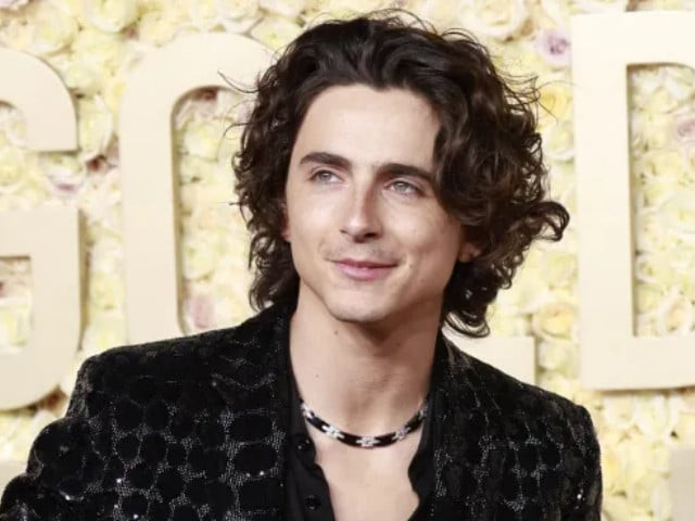 timoth e chalamet to host and perform as musical guest on saturday night live timoth e chalamet to host and perform as musical guest on saturday night live