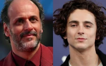 luca guadagnino defends timoth e chalamet after opera backlash