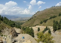 woman killed three children injured as mortar shell hits house in tirah woman killed three children injured as mortar shell hits house in tirah