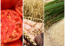 food prices push yearly spi to 35 week high food prices push yearly spi to 35 week high