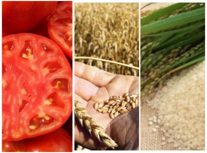food prices push yearly spi to 35 week high food prices push yearly spi to 35 week high