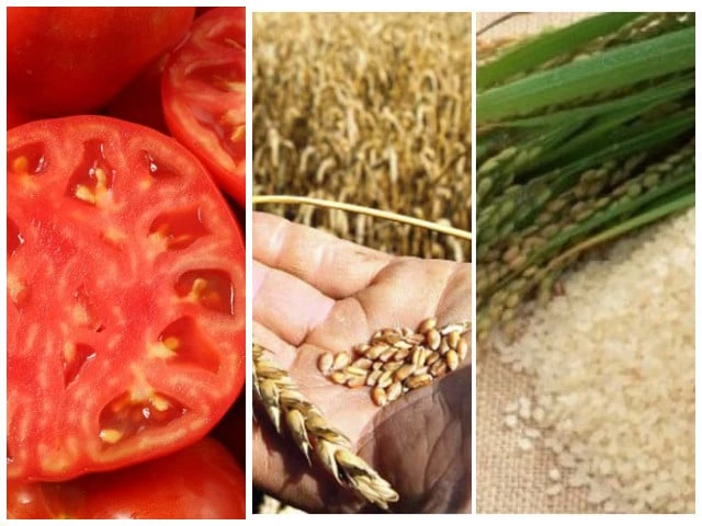 Food prices push yearly SPI to 35-week high | The Express Tribune