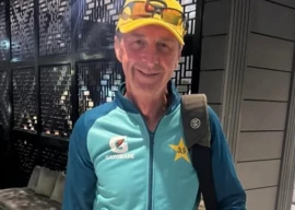 pcb chief curator tony hemming resigns after one year in role