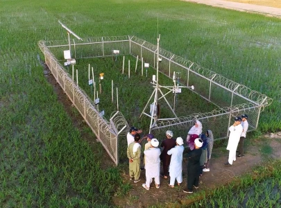 uk funded tower to boost climate data monitoring