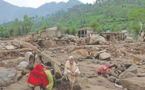 floods ravage k p s livestock farm sector floods ravage k p s livestock farm sector