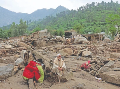 floods ravage k p s livestock farm sector floods ravage k p s livestock farm sector