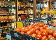 india new zealand sign fta cut fruit tariffs boost exports ease visas deepen economic ties photo pixabay india new zealand sign fta cut fruit tariffs boost exports ease visas deepen economic ties photo pixabay