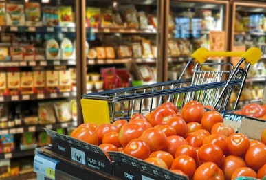 india new zealand sign fta cut fruit tariffs boost exports ease visas deepen economic ties photo pixabay