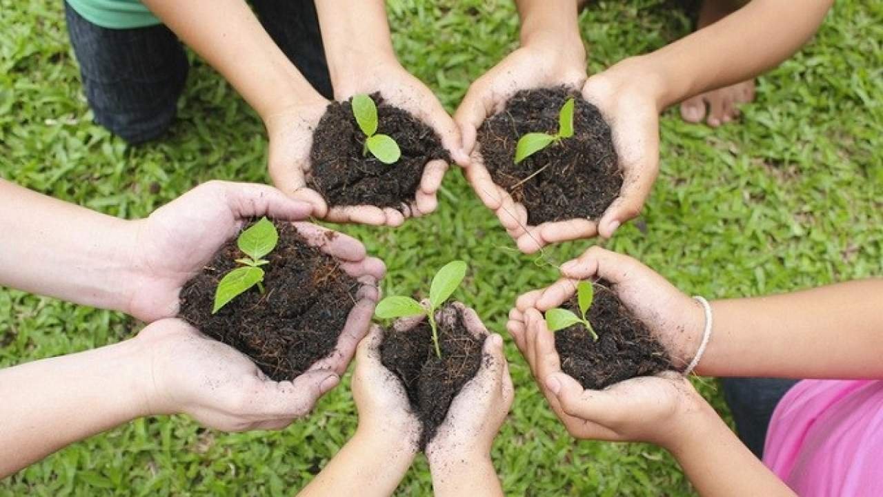 Commissioner inaugurates plantation drive - Vimarsana News