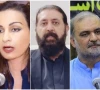sherry rehman hafiz sheikh