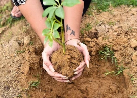 tree plantation drive kicks off in dha on independence day