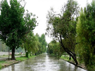 going green again cdgk restarts green city project