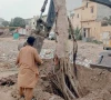 ancient trees rise again after korangi land grab bid