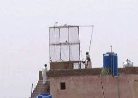 digital mapping underway in punjab to prevent bird aviation hazards