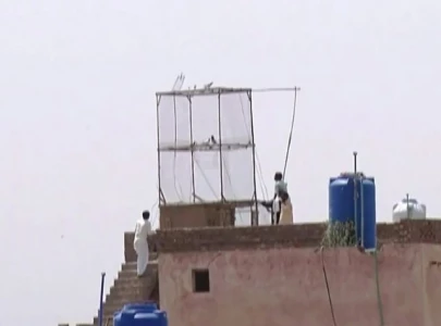 digital mapping underway in punjab to prevent bird aviation hazards digital mapping underway in punjab to prevent bird aviation hazards