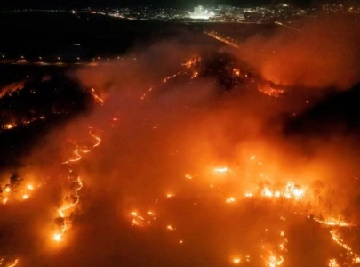 deadly wildfires in south korea kill 26 displace thousands deadly wildfires in south korea kill 26 displace thousands