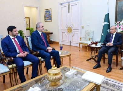 pm shehbaz reaffirms solidarity with saudi qatari envoys pm shehbaz reaffirms solidarity with saudi qatari envoys