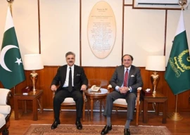 cjp aurangzeb huddle stirs the pot