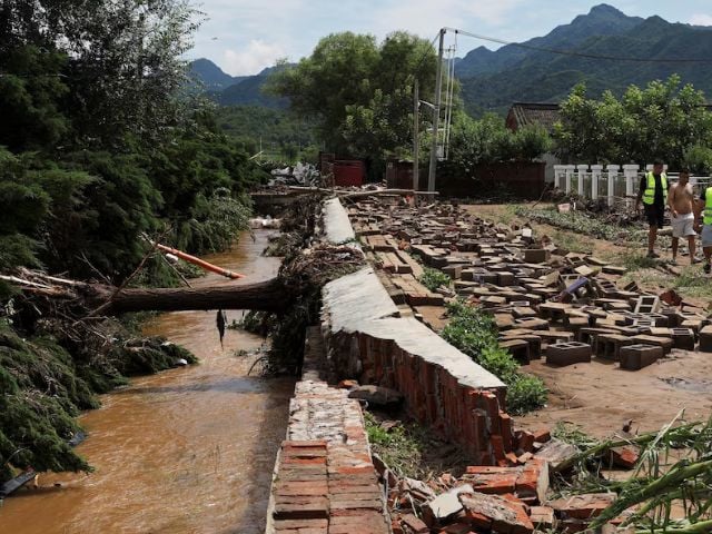 Men walk past fallen trees and damaged corn plants, after heavy rainfall flooded the area in Miyun district of Beijing, China July 29, 2025. REUTERS/Florence Lo Purchase Licensing Rights