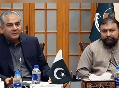 naqvi reaffirms govt support for balochistan against terrorism naqvi reaffirms govt support for balochistan against terrorism