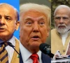 trump to work with pakistan india to resolve kashmir dispute trump to work with pakistan india to resolve kashmir dispute