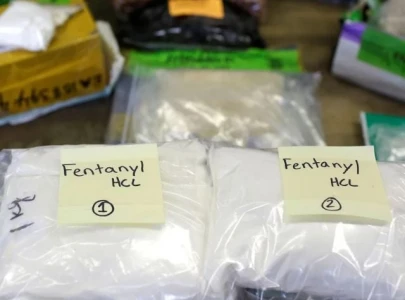 india major supplier of fentanyl precursor chemicals us intelligence india major supplier of fentanyl precursor chemicals us intelligence