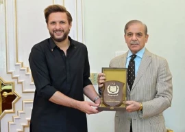 shahid afridi meets pm shehbaz lauds armed forces success
