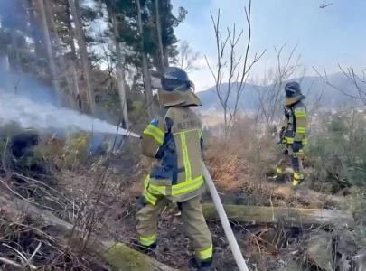 japan battles largest wildfire in over 30 years at least one dead japan battles largest wildfire in over 30 years at least one dead