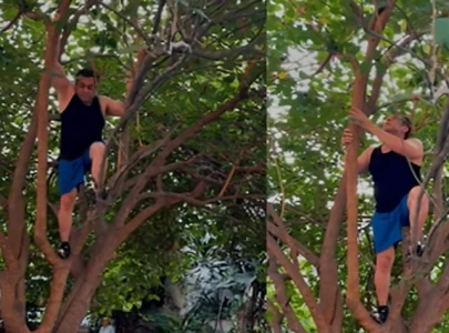 watch salman khan scales tree with ease says berry good for u watch salman khan scales tree with ease says berry good for u