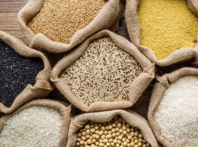 pm s 8070 ramadan relief package 2025 who is eligible and how to apply pm s 8070 ramadan relief package 2025 who is eligible and how to apply