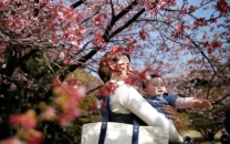 japan sees largest drop in native population since 1950