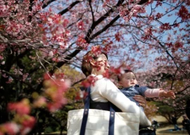 japan sees largest drop in native population since 1950 japan sees largest drop in native population since 1950
