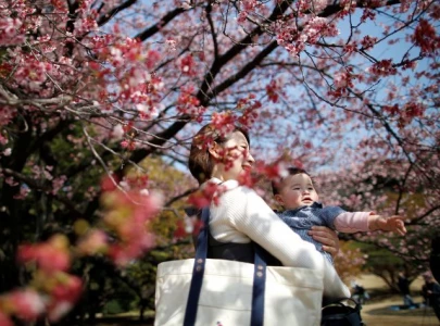 japan sees largest drop in native population since 1950