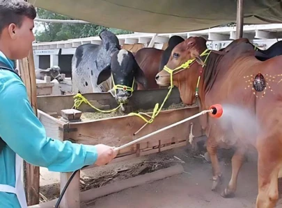 pakistan issues advisory on congo virus and heatstroke risks