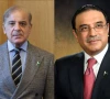 zardari and shehbaz salute armed forces for defending country s territorial integrity