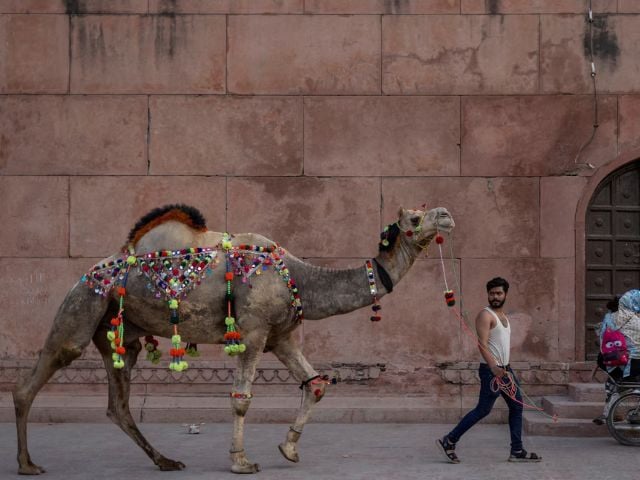 Photo: Reuters