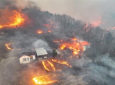 south korea battles worst wildfires in history 18 dead and thousands displaced south korea battles worst wildfires in history 18 dead and thousands displaced