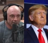 does trump have alzheimer s internet speculates after his oprah comment in joe rogan interview does trump have alzheimer s internet speculates after his oprah comment in joe rogan interview