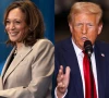 american media liberals outraged as trump gains swing states while kamala harris remains silent
