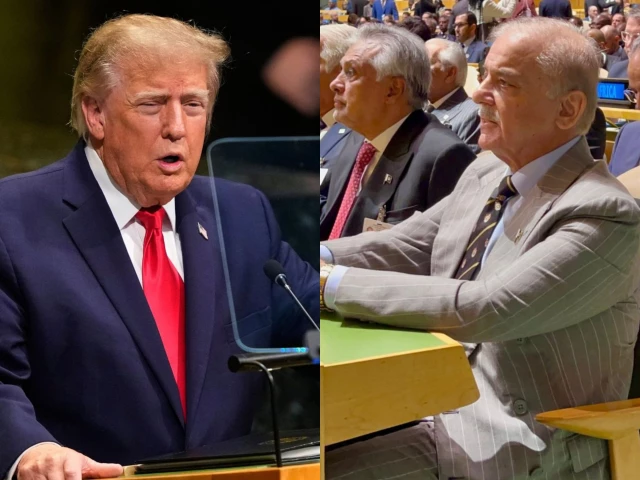 Trump praises PM Shehbaz as ‘terrific man’, recalls India-Pakistan mediation at UNGA