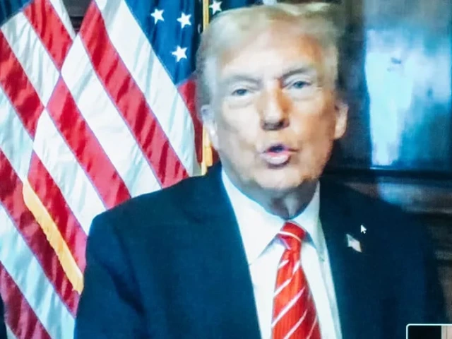 trump s sentence explained what is an unconditional discharge trump s sentence explained what is an unconditional discharge
