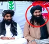 slain deputy chief of the outlawed tehreek e taliban pakistan qari amjad